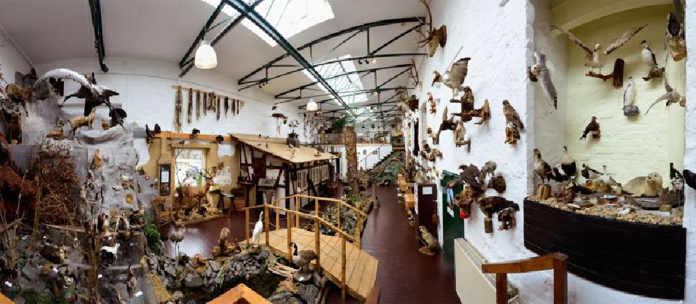 Einzigartiges Erlebnismuseum Lernort Natur
